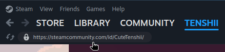 Steam profile URL